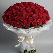 Букет 101 Красная роза Блэк Мэджик в Вольное