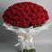Букет 101 Красная роза Блэк Мэджик в Вольное