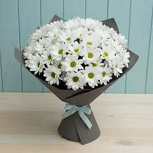 Букет цветов из:  Хризантемы в Вольное