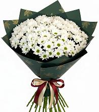 Букет цветов из:  Хризантемы #REPLACE_PRED# Вольное