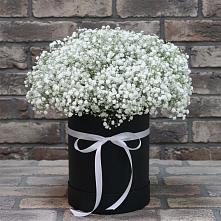 Цветочная композиция из Гипсофила в шляпной коробке #REPLACE_PRED# Вольное
