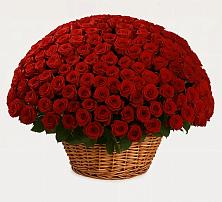 Премиум букет из: Розы в Вольное