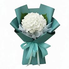 Букет цветов из:  Гортензия в Вольное